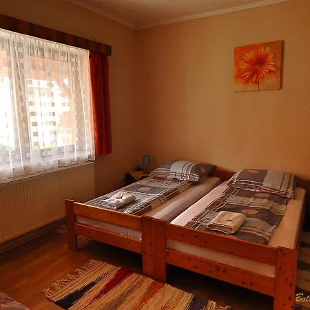 Guest house Sator-hegy Vendeghaz *