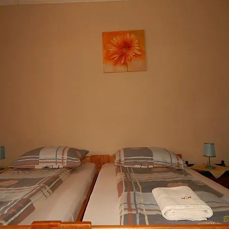 Guest house Sator-hegy Vendeghaz