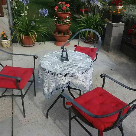 Guest house Sator-hegy Vendeghaz