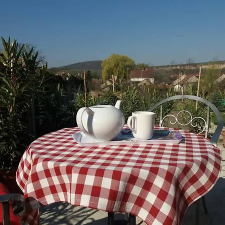 Sator-hegy Vendeghaz Guest house Abaujszanto